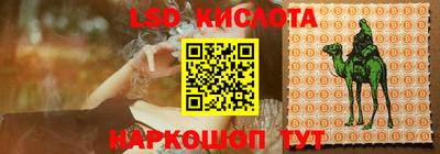 прущие грибы Комсомольск-на-Амуре