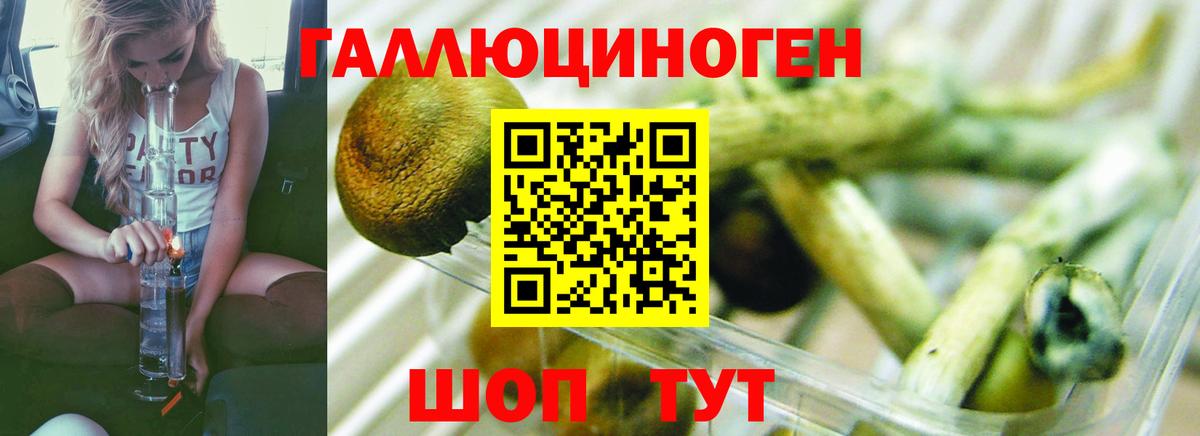 Галлюциногенные грибы прущие грибы  Вход с VPN  Псилоцибиновые грибы мицелий  Коломна 